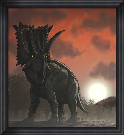 Framed Coahuilaceratops Walking through a Cretaceous Sunset Print