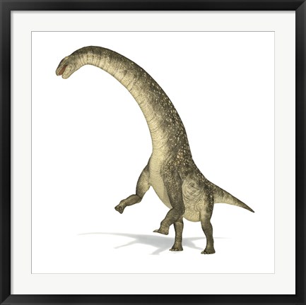 Framed Titanosaurus Dinosaur on White Background Print