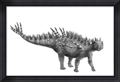 Framed Pencil Drawing of Huayangosaurus Taibaii Print