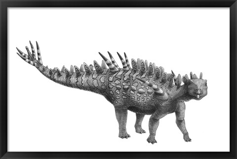 Framed Pencil Drawing of Huayangosaurus Taibaii Print