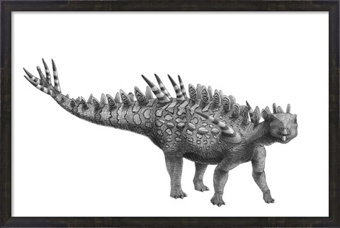 Framed Pencil Drawing of Huayangosaurus Taibaii Print