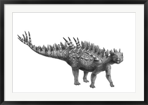 Framed Pencil Drawing of Huayangosaurus Taibaii Print