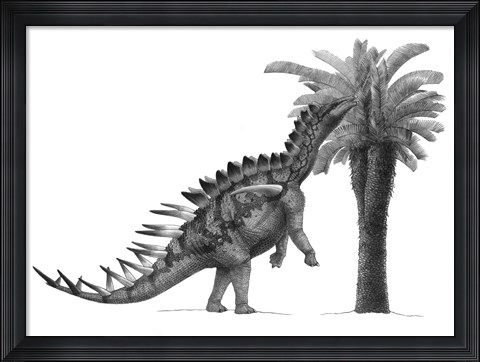 Framed Pencil Drawing of Miragaia Longicollum Feeding on a Cycad Tree Print