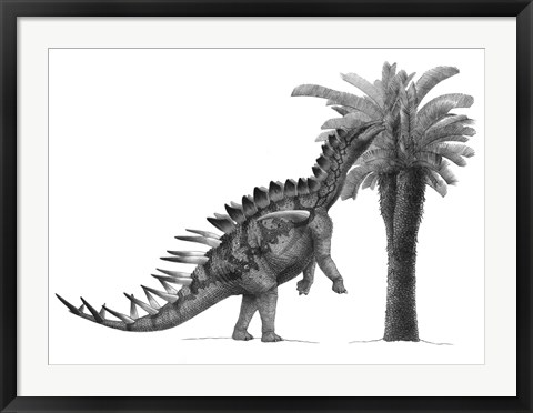 Framed Pencil Drawing of Miragaia Longicollum Feeding on a Cycad Tree Print