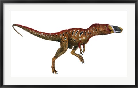 Framed Watercolor Painting of Xiongguanlong Baimoensis Print