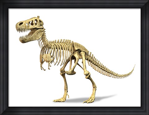 Framed 3D Rendering of a Tyrannosaurus Rex Dinosaur Skeleton Print