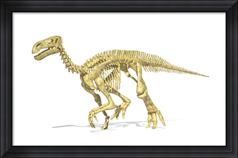 Framed 3D Rendering of an Lguanodon Dinosaur Skeleton Print