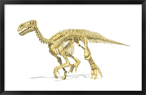 Framed 3D Rendering of an Lguanodon Dinosaur Skeleton Print