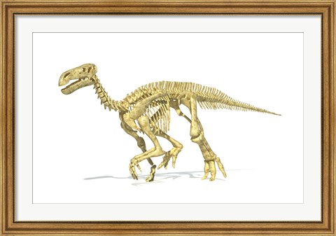 Framed 3D Rendering of an Lguanodon Dinosaur Skeleton Print