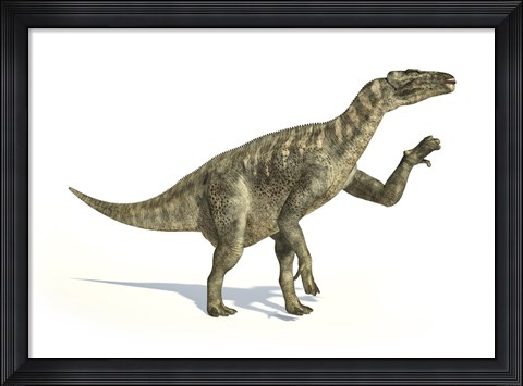 Framed Iguanodon Dinosaur in Dynamic Posture Print