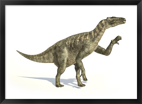 Framed Iguanodon Dinosaur in Dynamic Posture Print