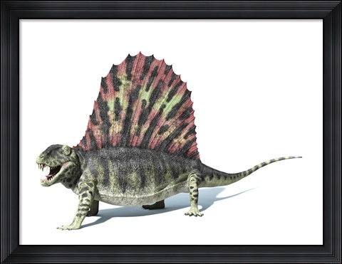 Framed 3D Rendering of a Dimetrodon Dinosaur Print