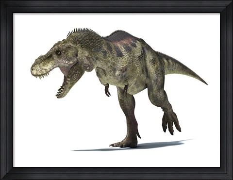 Framed 3D Rendering of a Tyrannosaurus Rex Dinosaur Print