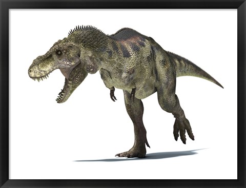 Framed 3D Rendering of a Tyrannosaurus Rex Dinosaur Print