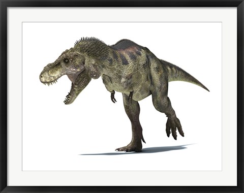 Framed 3D Rendering of a Tyrannosaurus Rex Dinosaur Print