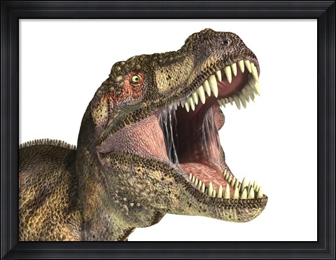Framed Close-up of Tyrannosaurus Rex dinosaur with Mouth Open Print