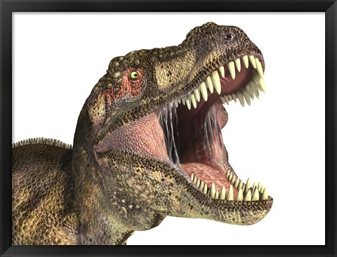 Framed Close-up of Tyrannosaurus Rex dinosaur with Mouth Open Print