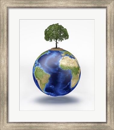 Framed Planet Earth with a Tree Growing on Top Print