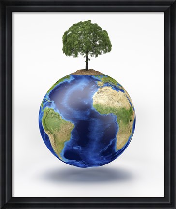 Framed Planet Earth with a Tree Growing on Top Print