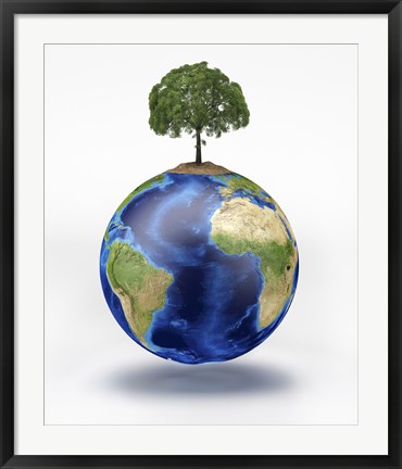 Framed Planet Earth with a Tree Growing on Top Print