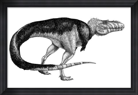 Framed Black Ink Drawing of Alioramus Remotus Print