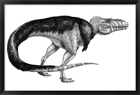 Framed Black Ink Drawing of Alioramus Remotus Print