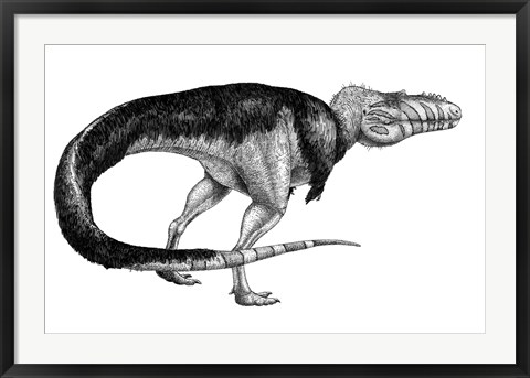 Framed Black Ink Drawing of Alioramus Remotus Print