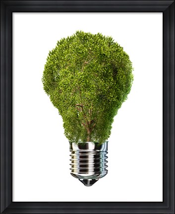 Framed Light Bulb with Tree Inside glass, Isolated on White Background Print