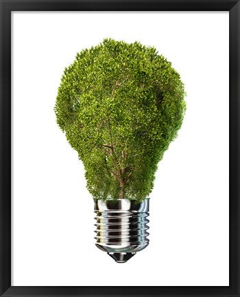 Framed Light Bulb with Tree Inside glass, Isolated on White Background Print