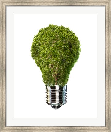 Framed Light Bulb with Tree Inside glass, Isolated on White Background Print