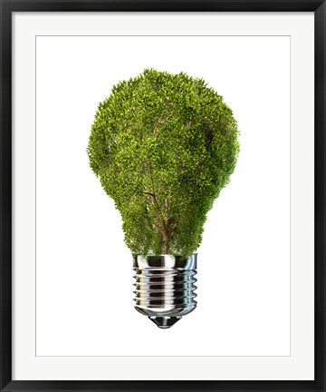 Framed Light Bulb with Tree Inside glass, Isolated on White Background Print