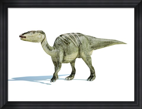 Framed 3D Rendering of an Edmontosaurus Dinosaur Print