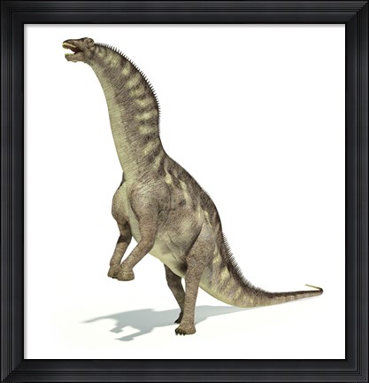 Framed Amargasaurus Dinosaur in Dynamic Posture Print