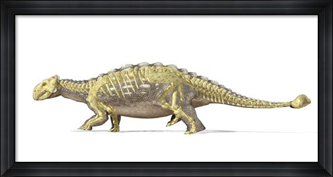 Framed Ankylosaurus Dinosaur with Full Skeleton Superimposed Print