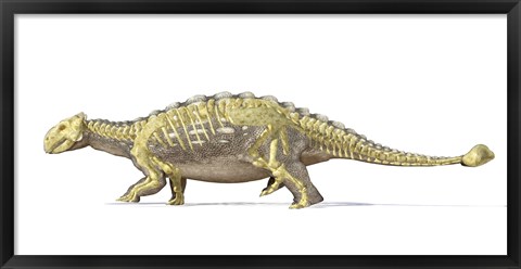 Framed Ankylosaurus Dinosaur with Full Skeleton Superimposed Print