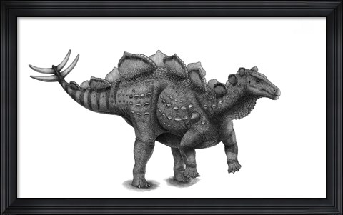 Framed Pencil Drawing of Wuerhosaurus Homheni Standing on its Hind Legs Print