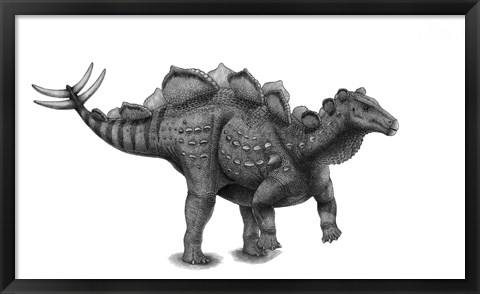 Framed Pencil Drawing of Wuerhosaurus Homheni Standing on its Hind Legs Print