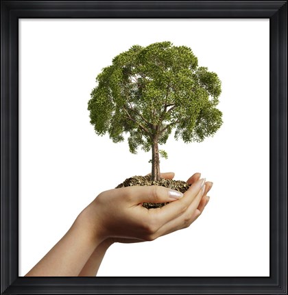 Framed Woman&#39;s Hands Holding Soil with a Tree Print