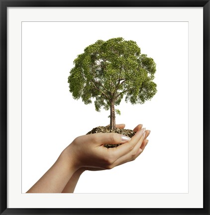 Framed Woman&#39;s Hands Holding Soil with a Tree Print