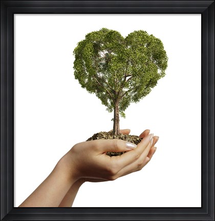 Framed Woman&#39;s Hands holding Soil with a Tree Heart Shaped Print