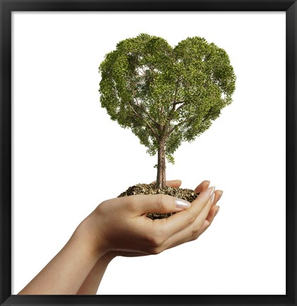 Framed Woman&#39;s Hands holding Soil with a Tree Heart Shaped Print