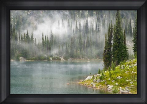 Framed Fog and Rain on Lake Eva, Revelstoke National Park, British Columbia, Canada Print