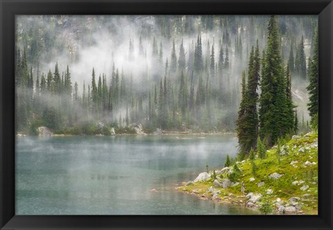 Framed Fog and Rain on Lake Eva, Revelstoke National Park, British Columbia, Canada Print