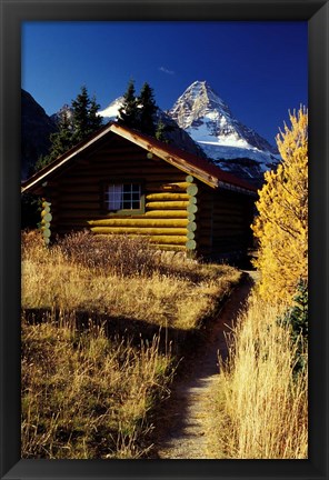 Framed British Columbia, Mount Assiniboine, Log cabin Print