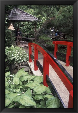 Framed Japanese Garden at Butchart Gardens, Vancouver Island, British Columbia, Canada Print