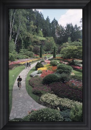 Framed Sunken Garden at Butchart Gardens, Vancouver Island, British Columbia, Canada Print
