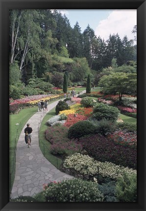 Framed Sunken Garden at Butchart Gardens, Vancouver Island, British Columbia, Canada Print