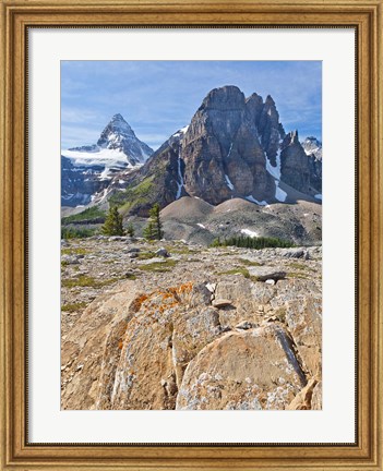 Framed Scenic of Mt Assiniboine and Wedgwood Peak, BC, Canada Print