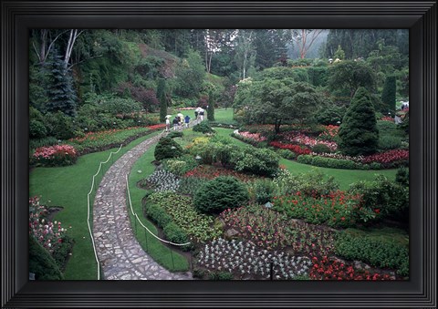 Framed Butchart Gardens, Vancouver Island, British Columbia, Canada Print