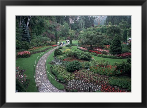 Framed Butchart Gardens, Vancouver Island, British Columbia, Canada Print